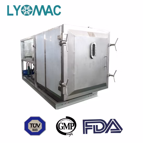 High Quality Vegetables Fruit Food Lyophilizer Dog Treat Cat Food Vacuum Freeze Dryer Drying Machine