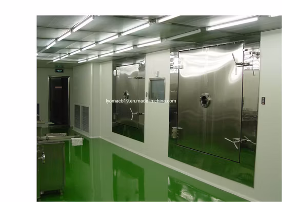 Liofilizador de alimentos para frutas y verduras de alta calidad, máquina secadora liofilizadora al vacío para comida para perros y gatos